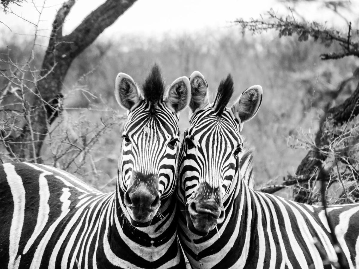 African Spirit Game Lodge Mkuze Buitenkant foto