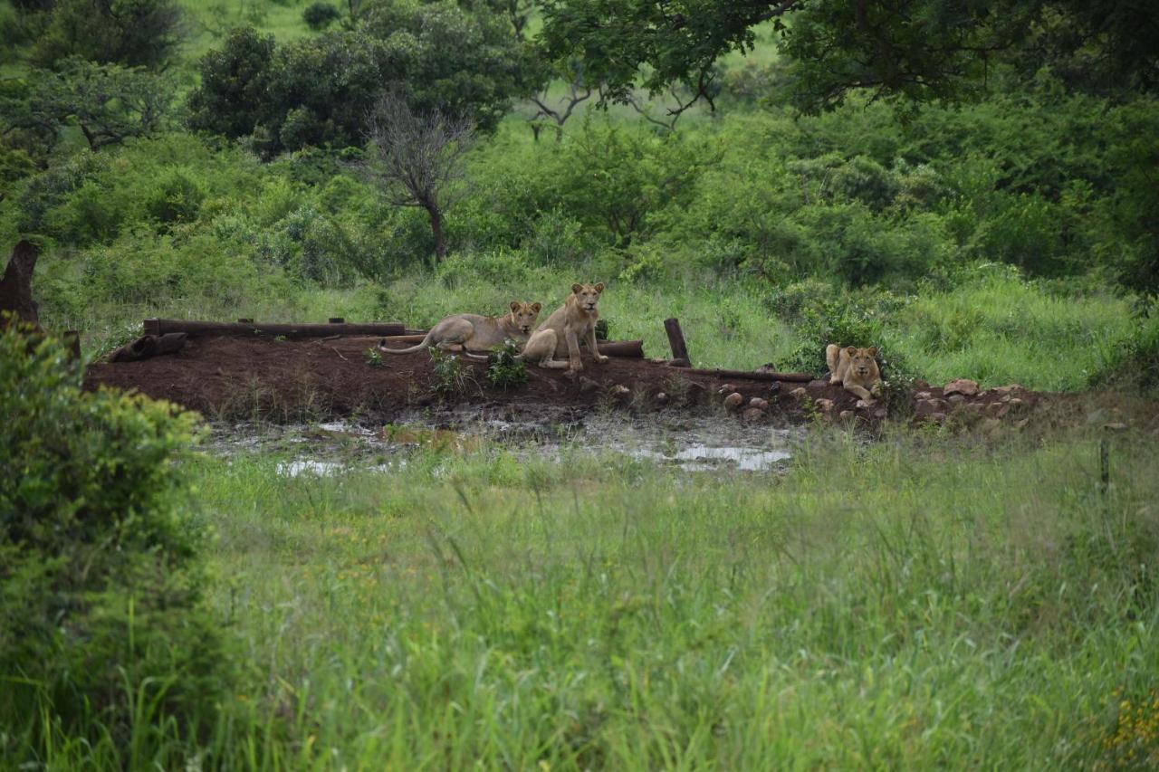 African Spirit Game Lodge Mkuze Buitenkant foto